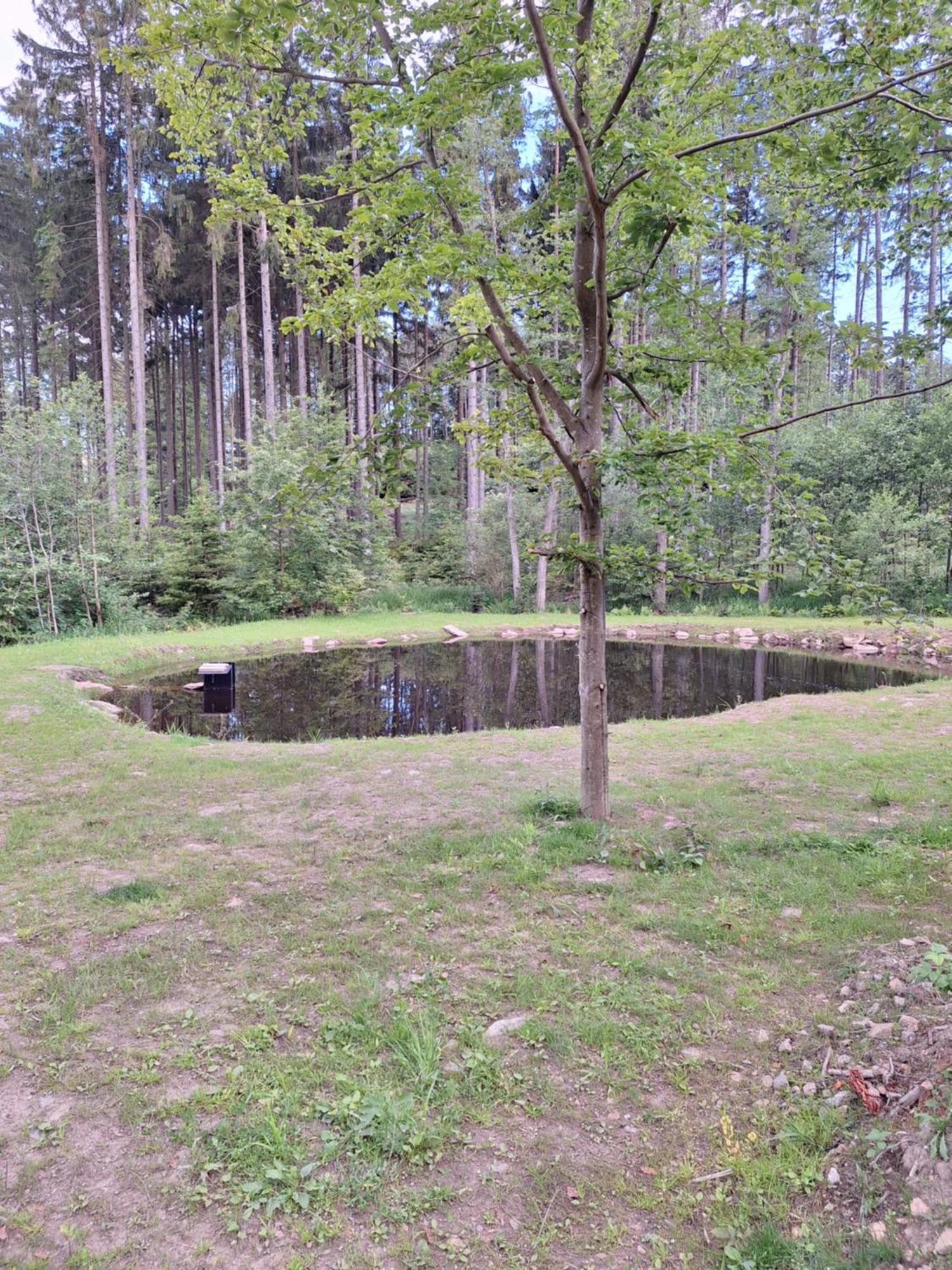 Apartmán Arktik Lesni Mlyn Novy Rychnov Exteriér fotografie