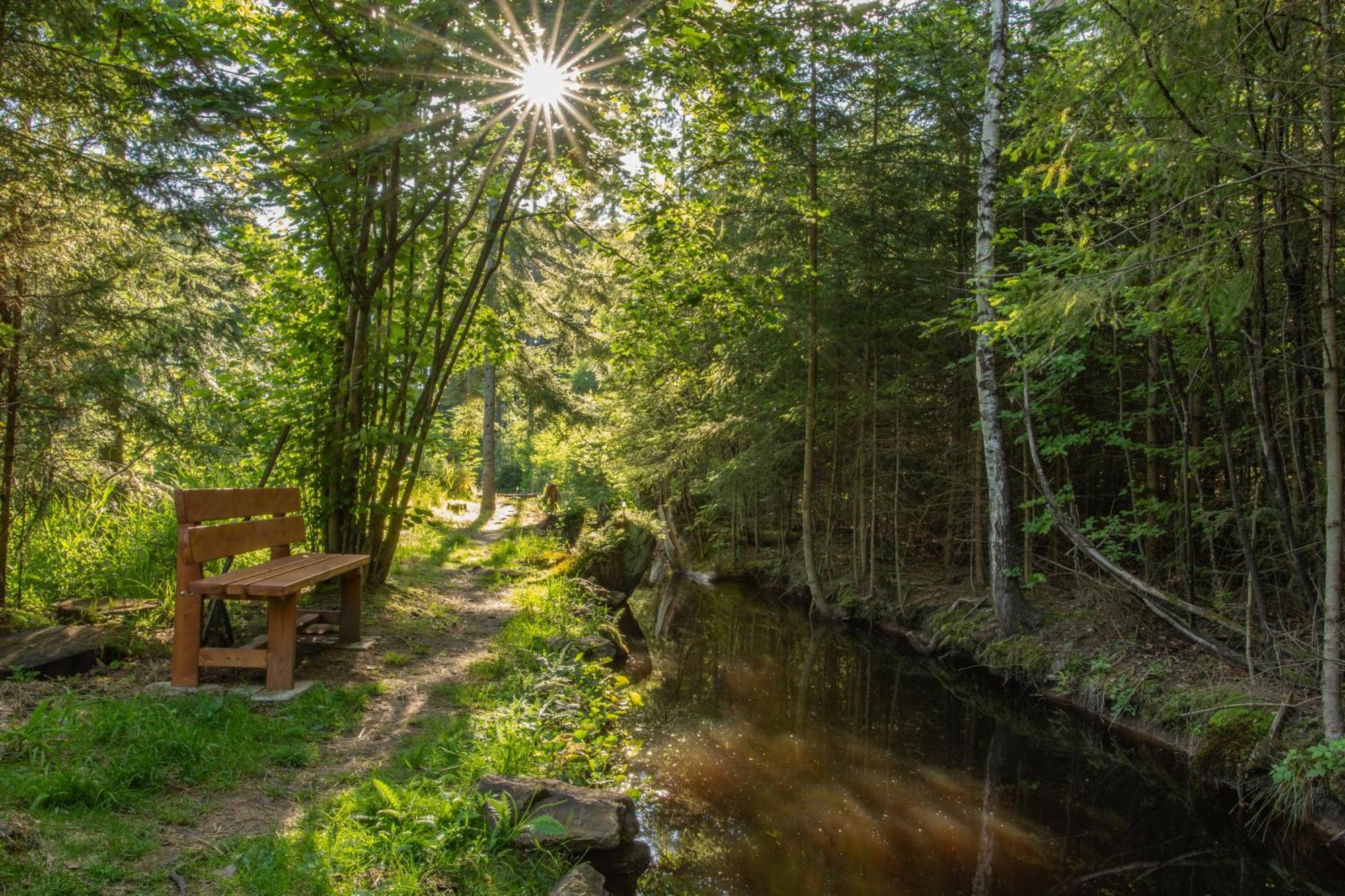 Apartmán Arktik Lesni Mlyn Novy Rychnov Exteriér fotografie